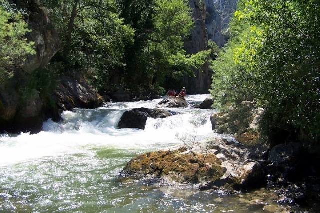  Raft e Rapid 